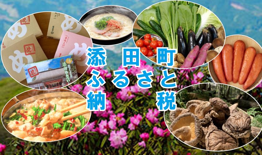 ふるさと納税