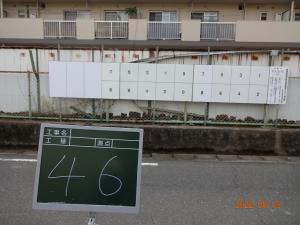 46