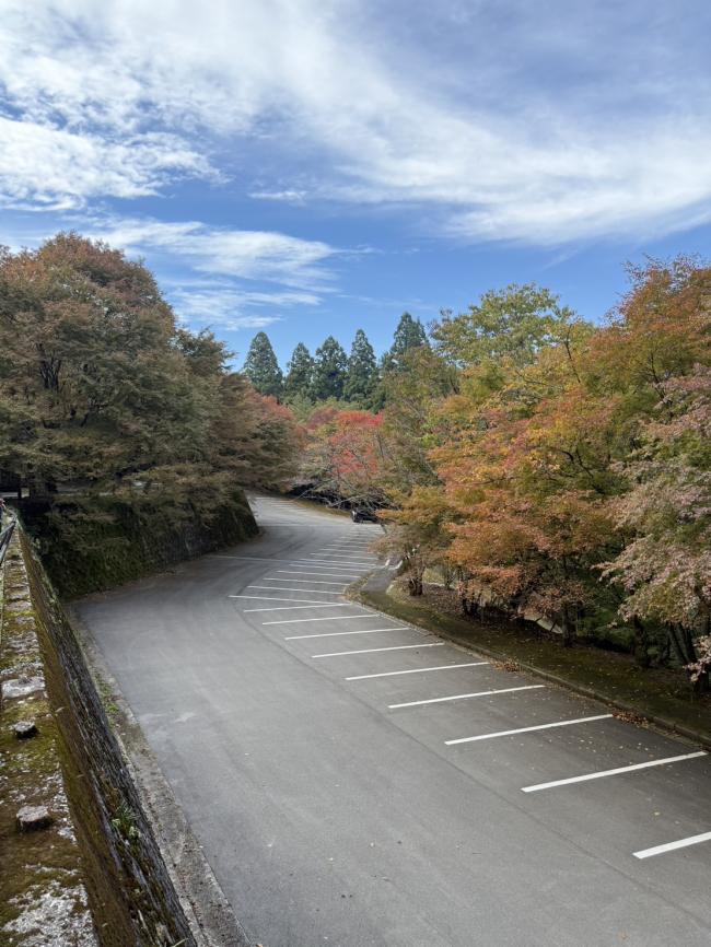 高住神社の紅葉の画像