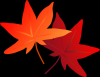 紅葉イラスト
